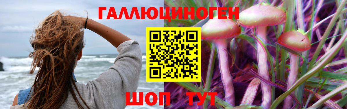 Псилоцибиновые грибы Magic Shrooms Пушкино